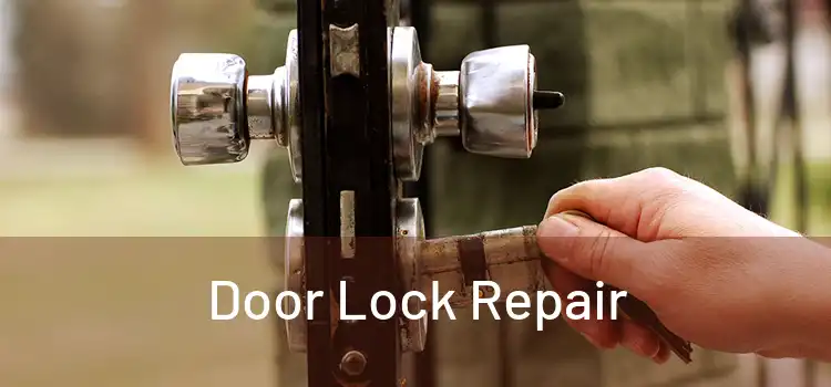 Door Lock Repair