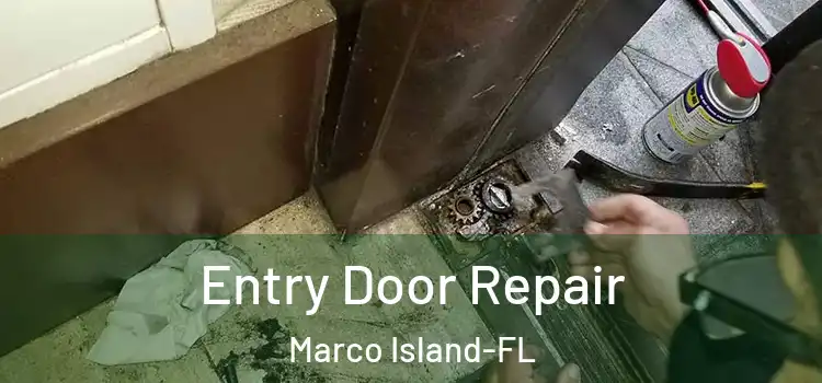  Entry Door Repair Marco Island-FL